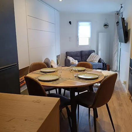 Le Cocon Des Grands Aux Pieds Les 7 Laux Prapoutel Appartement
